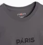 Футболка мужская Air Jordan X Psg Wordmark T-Shirt Grey DZ2940-068