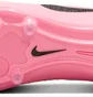 Бутсы унисекс Nike Legend 10 Pro Fg Pink DV4333-601
