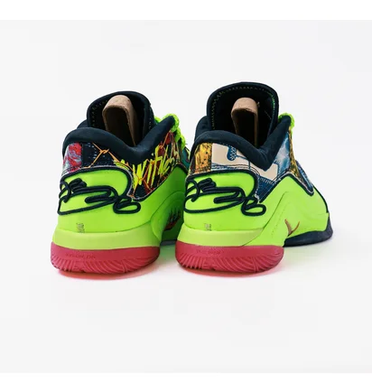 Кроссовки мужские Nike Lebron Xxii Bw Multi HV8451-400