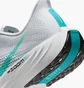 Кросівки чоловічі Nike Pegasus Plus Grey FQ7262-004