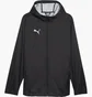Вітровка чоловіча Puma Teamfinal Allwetterjacke F03 Black 658599-03