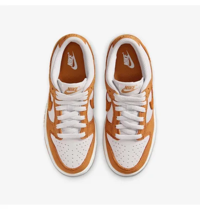 Кросівки дитячі Nike Dunk Low Brown HQ9293-001