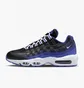 Кросівки чоловічі Nike Air Max 95 Black DM0011-006