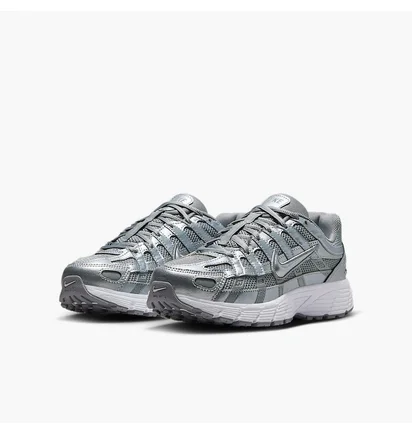 Кроссовки мужские Nike P-6000 (Gs) Metallic/Grey HV5064-004