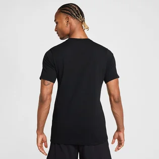 Футболка мужская Nike Wildcard Black HJ3619-010