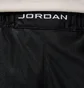 Шорты мужские Air Jordan Brooklyn Cat Black HV0560-013