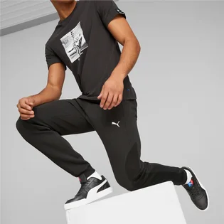 Штаны мужские Puma Bmw M Black 538132-01