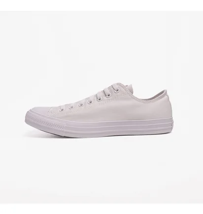 Кеды унисекс Converse Chuck Taylor All Star Mono Canvas Ox 1U647 White