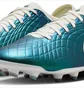 Бутси унісекс Nike Legend 10 Pro Fg 30 Blue FQ3248-300