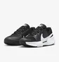 Кроссовки женские Nike Gp Challenge Pro Black FJ1808-001