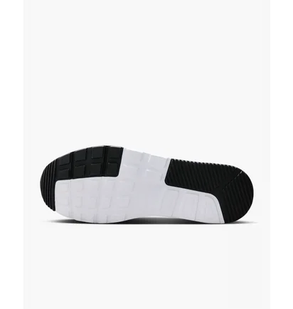 Кроссовки мужские Nike Air Max Sc Shoes Grey/Black CW4555-015
