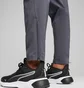 Штаны мужские Puma Tad Essentials Grey 525916-69
