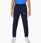 Штаны детские Nike Df Academy Blue DR1676-451
