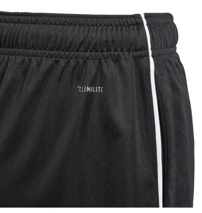 Шорты детские Adidas Core18 Tr Sho Y Black CE9030