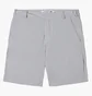 Шорты мужские Lacoste Slim Fit Grey FH0428P0Y