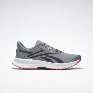 Кроссовки мужские Reebok Floatride Energy 5 Grey GY0073