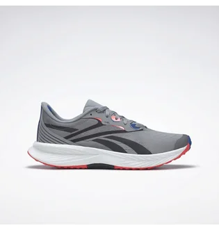 Кросівки чоловічі Reebok Floatride Energy 5 Grey GY0073