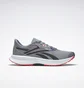 Кросівки чоловічі Reebok Floatride Energy 5 Grey GY0073
