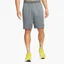 Шорты мужские Nike Dri-Fit Grey DD1887-068