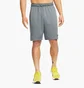 Шорти чоловічі Nike Dri-Fit Grey DD1887-068