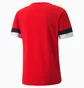 Футболка мужская Puma Teamrise Red 704932-01