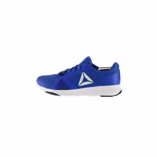 Кроссовки мужские Reebok Flexile Blue BS8046