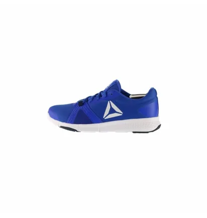 Кросівки чоловічі Reebok Flexile Blue BS8046
