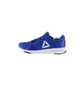 Кросівки чоловічі Reebok Flexile Blue BS8046