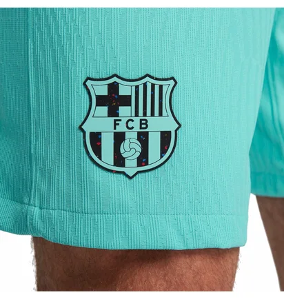 Шорты мужские Nike Shorts Fcb M Nk Dfadv Match Short 3R 2023/24 Turquoise DX9768-486