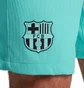 Шорты мужские Nike Shorts Fcb M Nk Dfadv Match Short 3R 2023/24 Turquoise DX9768-486
