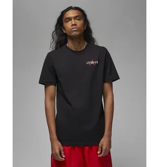 Футболка мужская Air Jordan Essentials Tee Black Dv8422-010