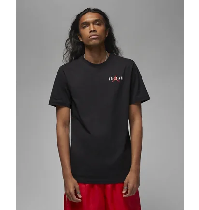 Футболка мужская Air Jordan Essentials Tee Black Dv8422-010