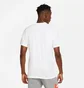 Футболка мужская Air Jordan Winter Utility Mountainside White CZ0400-100