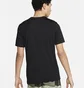 Футболка мужская Nike T-Shirt Dri-Fit Black FQ3885-010
