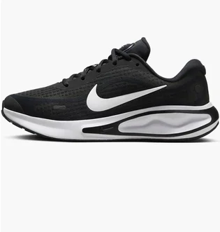 Кросівки жіночі Nike W Journey Run Black FJ7765-001