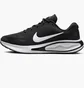 Кроссовки женские Nike W Journey Run Black FJ7765-001