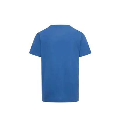 Футболка детская Air Jordan Air 2 3D Tee Blue 95C975-U1R