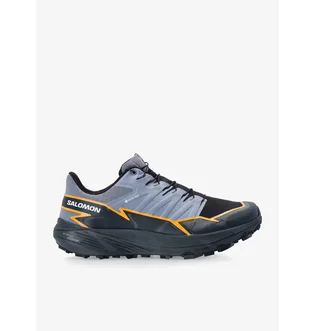 Кроссовки мужские Salomon Thundercross Gtx Grey 473831