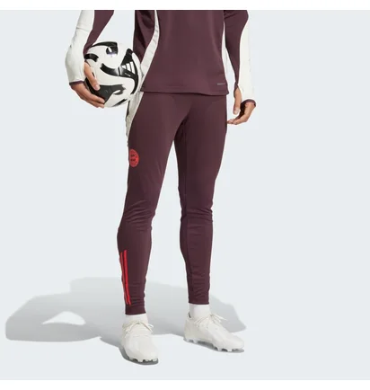 Штаны мужские Adidas Fc Bayern Tiro 24 Training Bordo IS9939