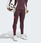 Штаны мужские Adidas Fc Bayern Tiro 24 Training Bordo IS9939