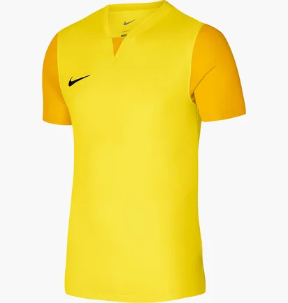 Футболка чоловіча Nike Jersey M Nk Df Trophy V Jsy Ss Yellow DR0933-719