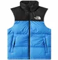 Жилетка мужская The North Face 1996 Retro Nuptse Vest Light Blue/Black NF0A3JQQLV6