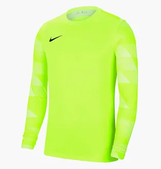 Лонгслів дитячий Nike Y Nk Df Park Iv Jsy Ls Gk Green Cj6072-702