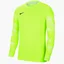 Лонгслів дитячий Nike Y Nk Df Park Iv Jsy Ls Gk Green Cj6072-702