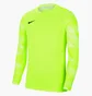 Лонгслів дитячий Nike Y Nk Df Park Iv Jsy Ls Gk Green Cj6072-702