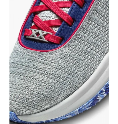 Кроссовки мужские Nike Lebron Xx Basketball Shoes Grey DJ5423-002