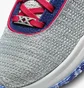 Кроссовки мужские Nike Lebron Xx Basketball Shoes Grey DJ5423-002