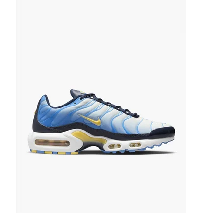 Кроссовки женские Nike Air Max Plus Blue Fd9871-400