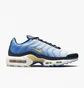 Кроссовки женские Nike Air Max Plus Blue Fd9871-400