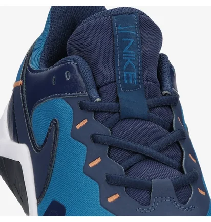 Кроссовки мужские Nike Legend Essential 2 Blue CQ9356-402